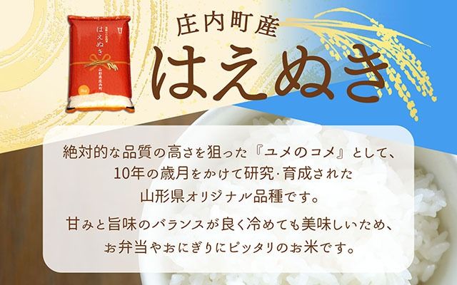 庄内町産 はえぬき 20kg 5kg×4袋 令和7年産 2025年産 ブランド米 コシヒカリの原点、亀の尾発祥の地 庄内