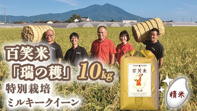 精米 百笑米 「 瑞の穫 」 特別栽培 ミルキークイーン 10kg R7年産 米 コメ 茨城県 単一米[AC011ci]