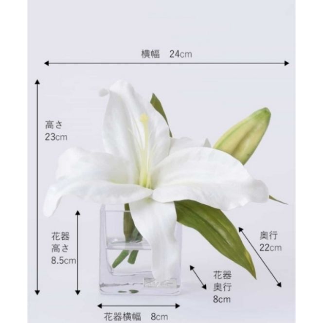 アートフラワー エミリオ・ロバ  カサブランカM-1 TTNTS-91100