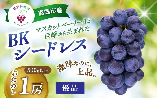 【2026年先行予約】岡山 花笑み農園の『BKシードレス』500g以上（中１房） B-中1 贈答用 濃厚 ぶどう 2026年9月中旬～ 受付順に発送予定 【hana083-01】
