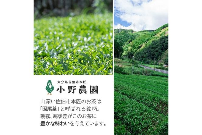 お茶 ティーバッグ 3種セット (釜炒り茶、和紅茶、いちょう葉紅茶・各12個) お茶 緑茶 紅茶 茶 茶葉 釜炒り茶 日本茶 セット 詰め合わせ 大分県 佐伯市 【ES03】【小野農園】