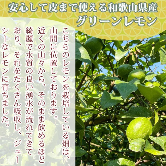 EA6042n_【2026年先行予約】綺麗な湧き水で育てた グリーンレモン 2kg (大小混合)