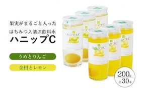果実入り清涼飲料水　ハニップＣ 2種類セット（30本）【prm001B】