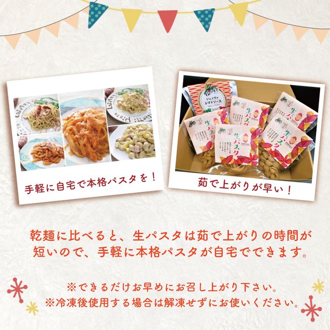 CJ-13 生パスタ （パッパルデッレ10食分）