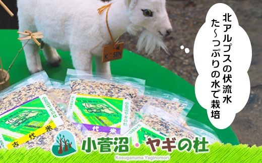 古代米（玄米）1.5kg（300g×5袋） 富山県 ヤギの杜 魚津市 ｜こめ コメ お米 おこめ 黒米 赤米 緑米 ビタミン びたみん ミネラル みねらる 伏流水 自慢 富山 魚津※北海道・沖縄・離島への配送不可