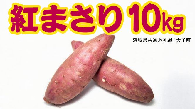 紅まさり 10kg 【 2026年12月上旬発送開始 】 ( 茨城県共通返礼品：大子町 ) さつまいも 焼き芋 しっとり なめらか 冷やし焼き芋 甘い 新芋 希少品種 農家直送 産地直送 [FC204us]