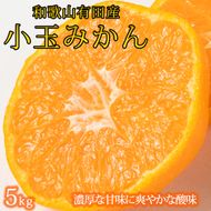 【有田の小粒みかん5kg　(S～3Sサイズ混合) ※2026年11月下旬～2027年1月下旬頃に順次発送予定  / みかん ミカン 蜜柑 温州みかん 柑橘 フルーツ 果物 くだもの 和歌山【uot845】 