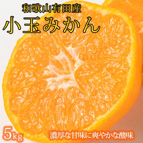 【有田の小粒みかん5kg　(S～3Sサイズ混合) ※2026年11月下旬～2027年1月下旬頃に順次発送予定  / みかん ミカン 蜜柑 温州みかん 柑橘 フルーツ 果物 くだもの 和歌山【uot845】 