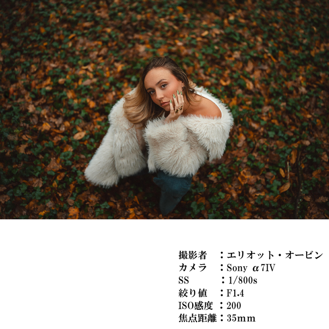 SIGMA 35mm F1.4 II | Art【Lマウント】カメラ　レンズ