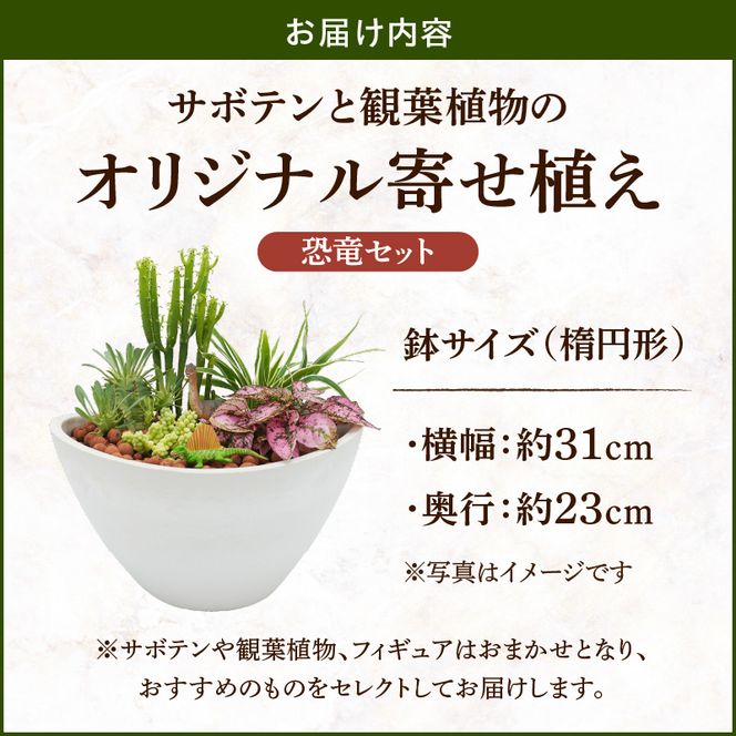 サボテンと観葉植物のオリジナル寄せ植え【恐竜セット】［133O05］