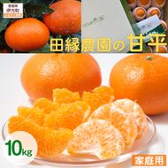 【先行予約】【家庭用】甘平 10kg ※離島への配送不可 （2027年1月25日より順次発送）IKTA032
