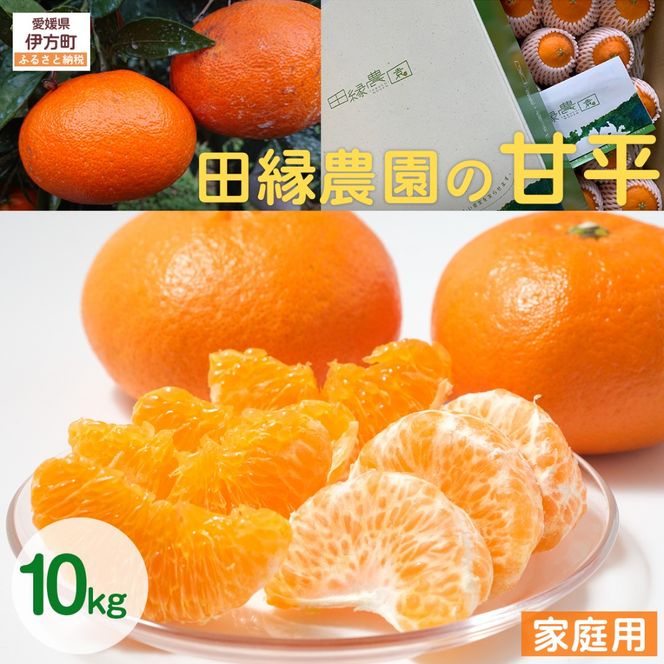 【先行予約】【家庭用】甘平 10kg ※離島への配送不可 （2027年1月25日より順次発送）IKTA032