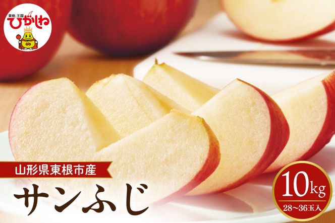 【2026年産】太陽の恵みをいっぱいに浴びたりんご「サンふじ」 約10kg(28～36玉入) 山形県 東根市　hi026-063