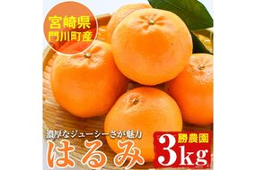 ＜先行予約受付中！2026年2～4月中旬発送予定＞宮崎県門川町産はるみ(約3kg) 柑橘 果物 数量限定 期間限定 国産 フルーツ 冷蔵 保存 遠見半島 【勝農園】【AE-20】