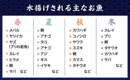 【全12回定期便】【塩 にも こだわり ！ 】玄海 の 海旬 の 干物 セット ( 3,4人向け ) 糸島市 / 福ふくの里 [ALD007]