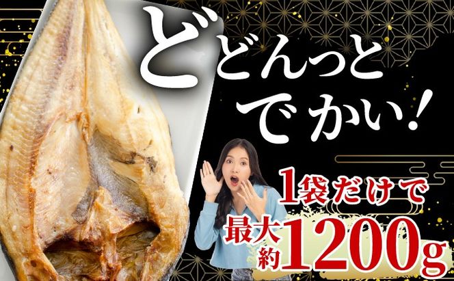 ほっけの一夜干し(特大)3枚