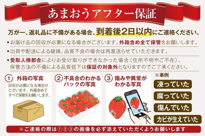 いちご あまおう ボリューム セット 6p 【2027年発送】 [THE FARM_strawberry 福岡県 宇美町 um40azo780006] 先行予約 イチゴ 苺 フルーツ 果物 果実 甘い あまい 小分け 6パック