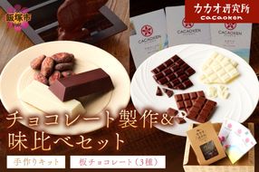 【A9-015】カカオ研究所 チョコレート製作＆味比べセット