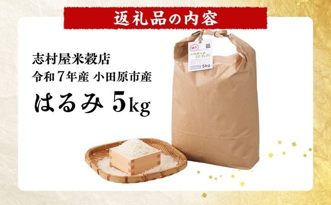 志村屋米穀店 令和7年産小田原市産　はるみ  5kg 142069_DE001