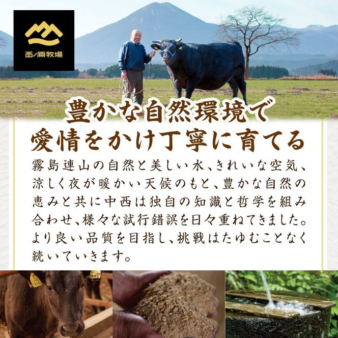 【西ノ原牧場直送】大人気！A4等級以上宮崎牛バラエティ焼肉用 400g（国産 国産牛 肉 牛肉 宮崎牛 黒毛和牛 お肉 ロース 焼肉 内閣総理大臣賞4大会連続受賞 特別提供）