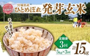 【3回定期便】 簡単に炊ける 宮城県産 ひとめぼれ 発芽玄米 5kg 計15kg(5kg×3回) [菅原商店 宮城県 加美町] 米 こめ コメ 玄米 発芽玄米 ご飯 |sg-hb05-hg-t3