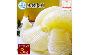 【日本ギフト大賞2024受賞】園主こだわりミニチュア土佐文旦ぶんたん 3kg 10～12玉 〈2027年1月中旬から4月下旬発送〉超小玉土佐文旦 ブンタン フルーツ 柑橘 みかん 果物 柑橘類 デザート プレゼント 高知県 土佐市【やの一果彩】[BQAC025]