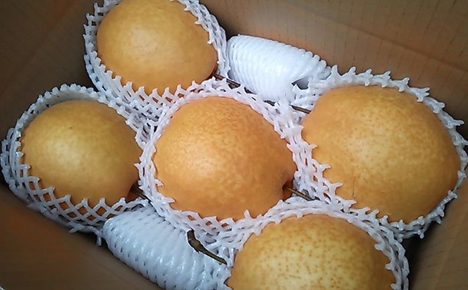 王秋梨 3kg【まえた農園】 312011_BK006