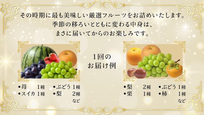 ＼お届け回数が選べる／ 【化粧箱入り1段】厳選フルーツ 5〜7種プレミアムセット 単品・定期便（茨城県共通返礼品） 田舎の頑固おやじが厳選！ 人気 厳選 果物 くだもの 旬 旬の果物 旬のフルーツ 上級品 極上 贅沢 極み フルーツ フルーツセット ギフト プレゼント 贈り物 冷蔵 [BI63-NT]
