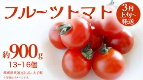 フルーツトマト 約900g (13～16個)【2026年3月上旬発送開始】(茨城県共通返礼品：大子町) トマト とまと 野菜 やさい	