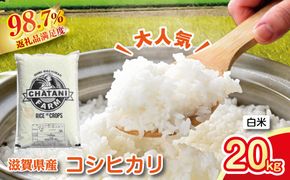 【新米】令和8年産　近江米　コシヒカリ 白米【20kg（10kg×2袋）】【V016W1】（滋賀県　近江八幡市）