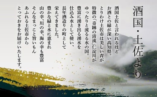 純米吟醸原酒 CEL-24 1800ml (生酒) 2本セット お酒 酒 さけ 日本酒 純米吟醸 一升瓶 1.8リットル 原酒 度数 14度 地酒 亀泉 cel24 セル24【株式会社とさもん】 [BQAE064]