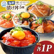 漬け丼5種セット 真鯛・ブリ・カンパチ・マグロ・サーモン 1食80g×各1P タイ 鰤 鮪 海鮮丼 刺身 海鮮 魚介 魚 お茶漬け 炊き込みご飯 惣菜 おかず 冷凍 配送