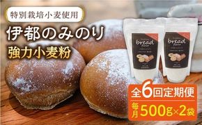 【全6回定期便】特別栽培 小麦 使用 伊都 の みのり( 500g × 2袋 )糸島市 / 天然パン工房楽楽【いとしまごころ】 [AVC067] 小麦 小麦粉 強力 強力粉  特別栽培 パン ぱん ブラン