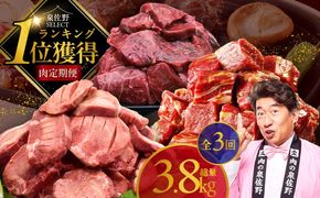 099Z640 1位獲得の肉 定期便 全3回 総量 3.8kg【牛肉 焼肉 牛タン ハラミ 牛ヒレ お肉 福袋 訳あり サイズ不揃い 毎月配送コース】