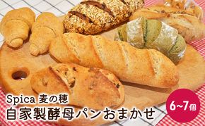 自家製酵母パンおまかせ6～7個セット ベーカリー ドイツ こだわり 美味しい 完全自給 植物性乳酸菌 食べやすい i蒸し焼き しっとり 酸味 冷凍 おすすめ 