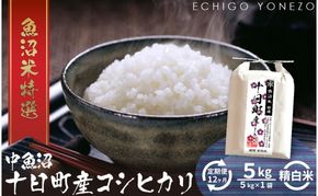 【定期便】魚沼十日町コシヒカリ5kg【ギフト】 x 12回 お米 米 コメ 