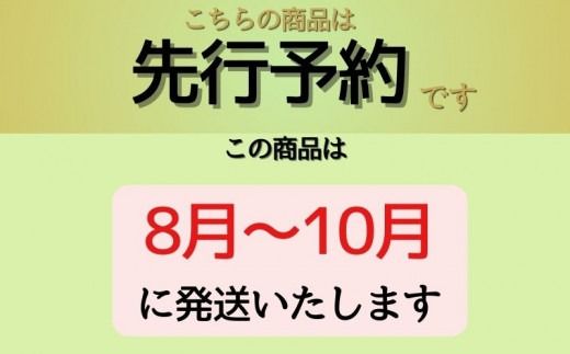 【2025年先行予約】　シャインマスカット500g以上（1房）　FB036