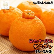 和歌山有田の濃厚デコポン 15～24玉 約5kg［先行予約］［MS78w］ AO045