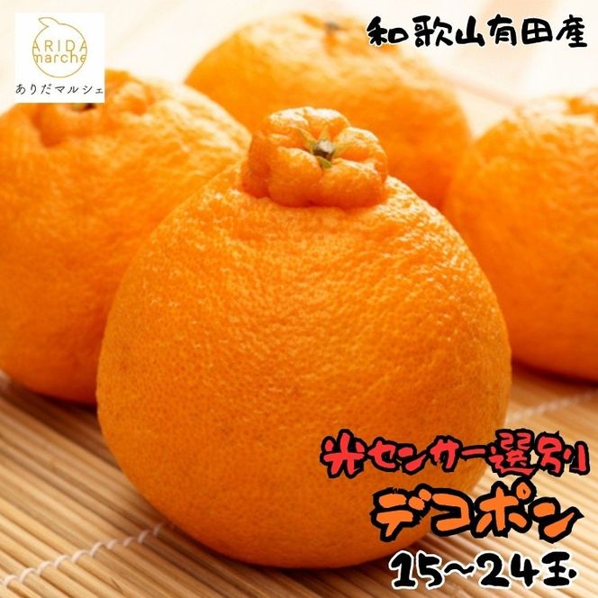 和歌山有田の濃厚デコポン 15～24玉 約5kg［先行予約］［MS78w］ AO045