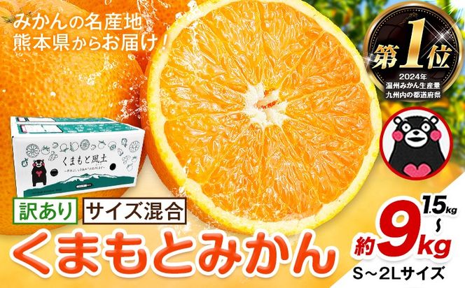 みかん 訳あり くまもとみかん 約1.5kg 約4.5kg 約9kg S-2Lサイズ サイズ混合 ご家庭用《7-14日以内に出荷予定(土日祝除く)》 訳あり みかん フルーツ サイズ混合 秋 旬 柑橘 熊本県 長洲町 熊本県産 長洲町産含む---ng_wkmkn_wx_4500_15k---