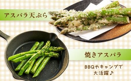 アスパラガス 400g 冷凍 カット済み 旬の時期に急速冷凍 【福岡県糸島産】 糸島市 / オーガニックナガミツファーム 野菜 アスパラ 	[AGE040]