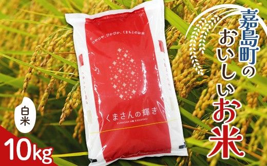 FK7-0270_【嘉島町産】くまさんの輝き 10kg 米 お米 コメ ごはん ご飯 食品 九州 熊本県 熊本 嘉島