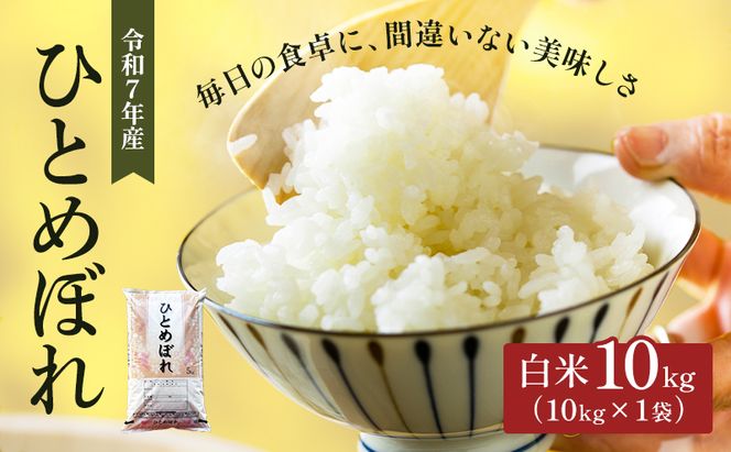 ひとめぼれ 10kg×1袋 令和7年産 宮城県産 米 精米 白米 お米