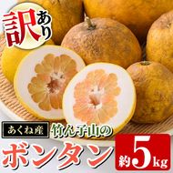 ＜先行予約受付中！2027年1月上旬以降順次発送予定＞訳あり！竹ん子山のボンタン(約5kg) 国産 鹿児島県産 阿久根産 柑橘 果物 フルーツ ぼんたん 文旦 訳アリ 果実 期間限定 数量限定 【竹ん子山】akn097-15