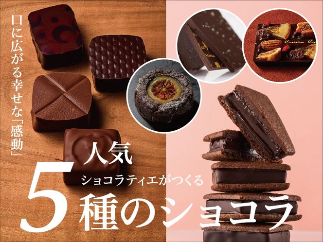 チョコレート ショコラ 詰め合わせ ギフト ガトーショコラ 塩チョコ テラコッタ 板チョコ ボンボンショコラ ｜ スイーツ チョコレート ショコラ ドルチェカリーナ パティシエ 人気 詰め合わせ セット 洋菓子 長野県 伊那市 【020-62】