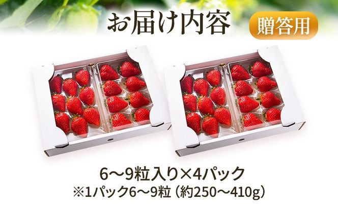 アフター保証 あまおう 6～9粒入り×4パック 【先行受付／2027年1月以降順次発送予定】いちご 大粒 不揃い DX デラックス エクセレント 苺 イチゴ 福岡高級 フルーツ 土産 福岡県