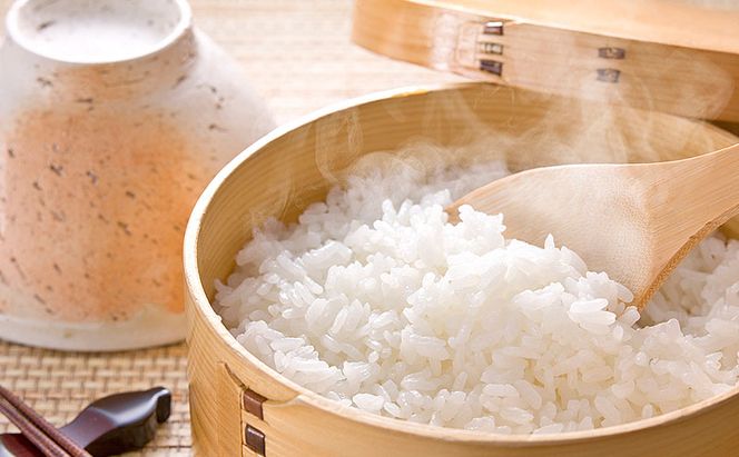 令和8年度産米 にこまる 5kg 福岡県朝倉産 白米 精米 お米