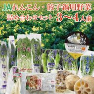 ★2026年9月より配送★ れんこん・餃子鍋用野菜詰め合わせセット！！（3～4人前）(AE-115)