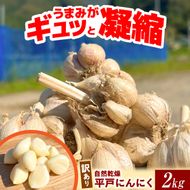 【訳あり】 平戸にんにく 約2kg 乾燥 ニンニク 平戸にんにく 訳アリ わけアリ 不揃い 型崩れ 自然乾燥 大量 大容量 常温 配送 数量限定 高知県産 高知県 土佐市【株式会社　植田ファーム】[BQAT007]