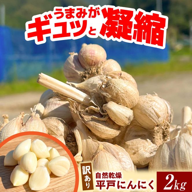 【訳あり】 平戸にんにく 約2kg 乾燥 ニンニク 平戸にんにく 訳アリ わけアリ 不揃い 型崩れ 自然乾燥 大量 大容量 常温 配送 数量限定 高知県産 高知県 土佐市【株式会社　植田ファーム】[BQAT007]
